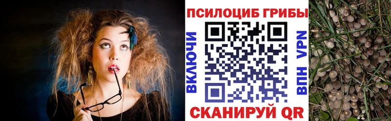 Галлюциногенные грибы ЛСД  Полярные Зори 